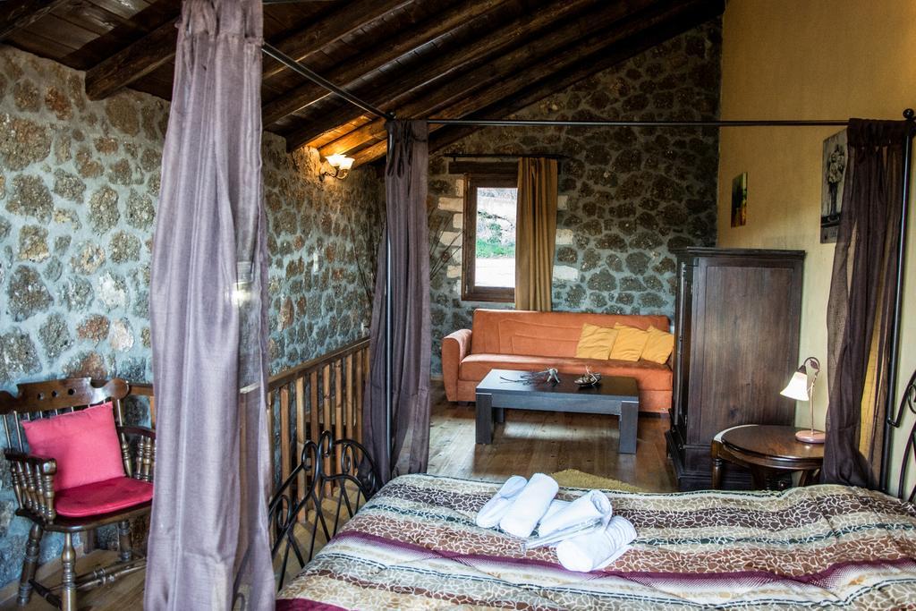 Theasis Suites-Ορεινή Φιλοξενία Kato Sinikia Trikalon المظهر الخارجي الصورة