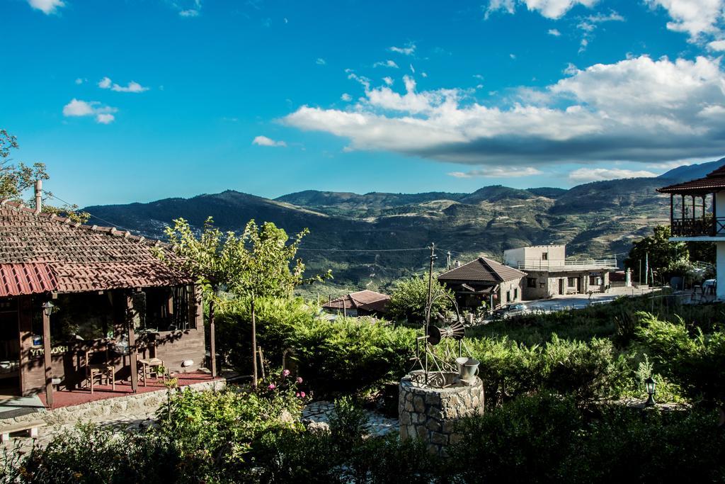 Theasis Suites-Ορεινή Φιλοξενία Kato Sinikia Trikalon المظهر الخارجي الصورة